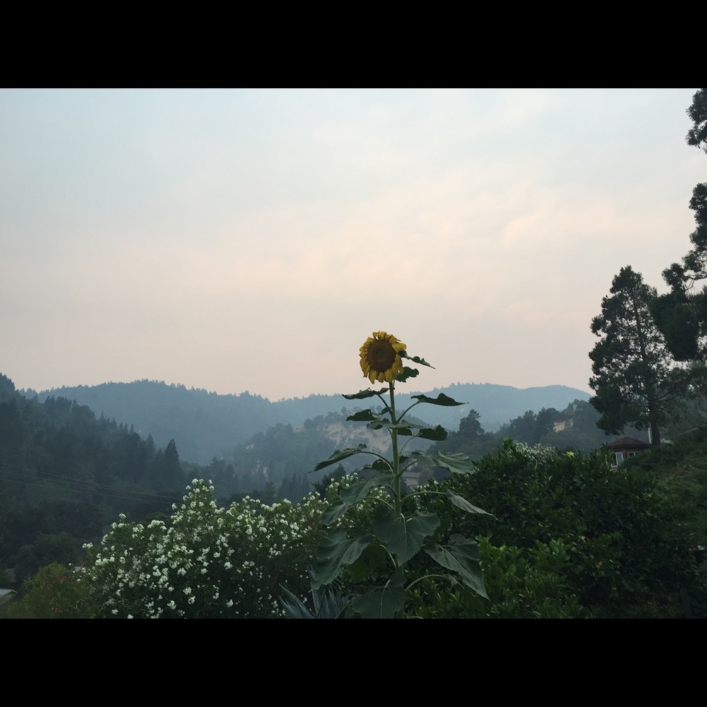 Meet your Posher, Briana